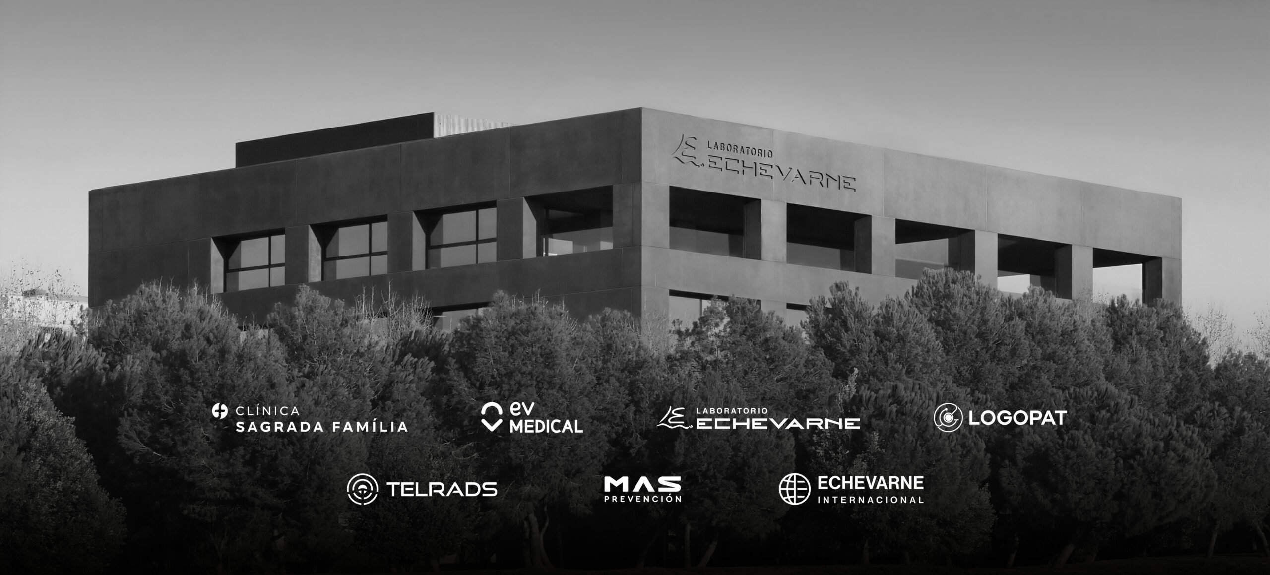 Grupo Echevarne Holding empresarial sector salud.